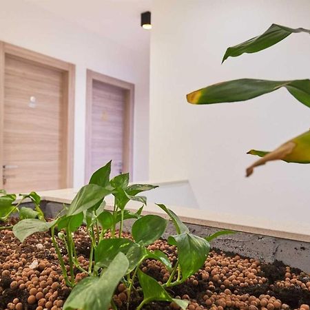 Boutique Garden Rooms Dubrownik Zewnętrze zdjęcie