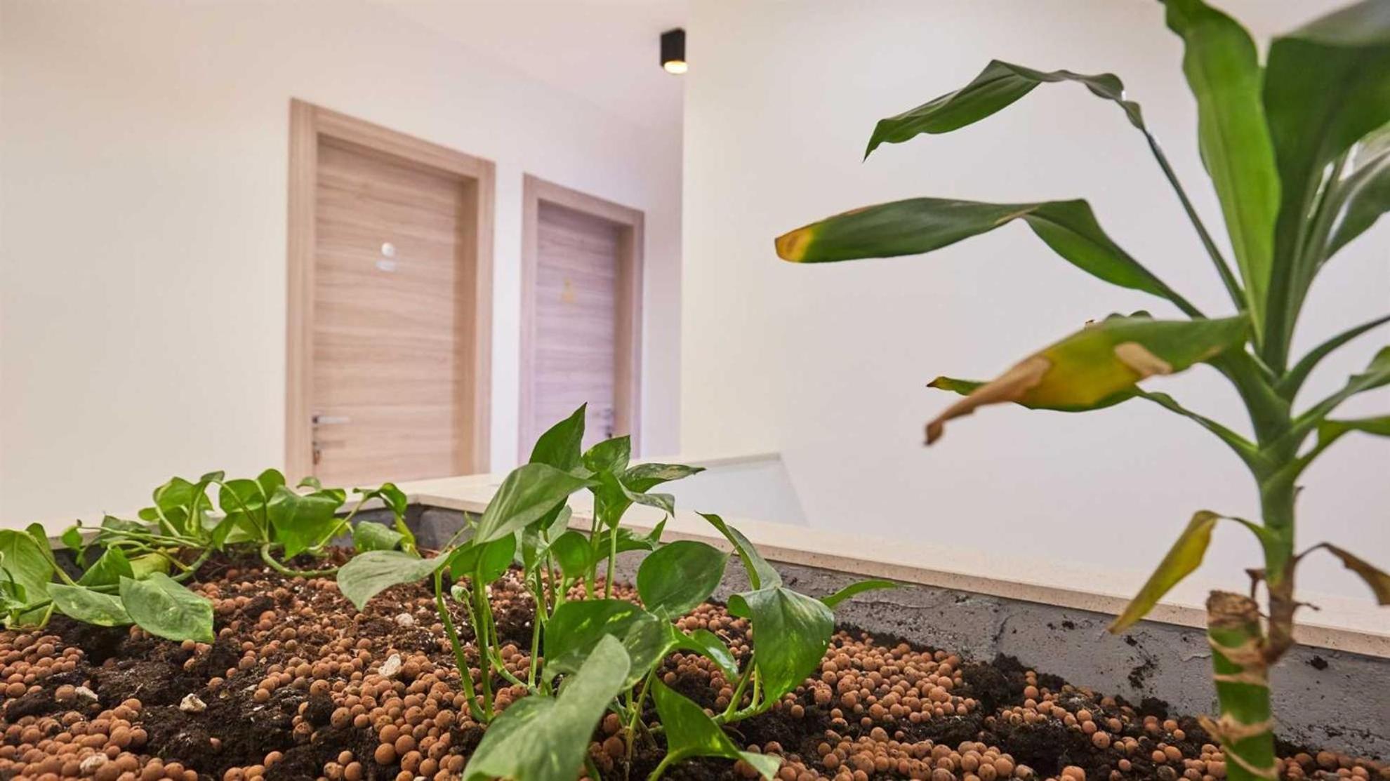 Boutique Garden Rooms Dubrownik Zewnętrze zdjęcie